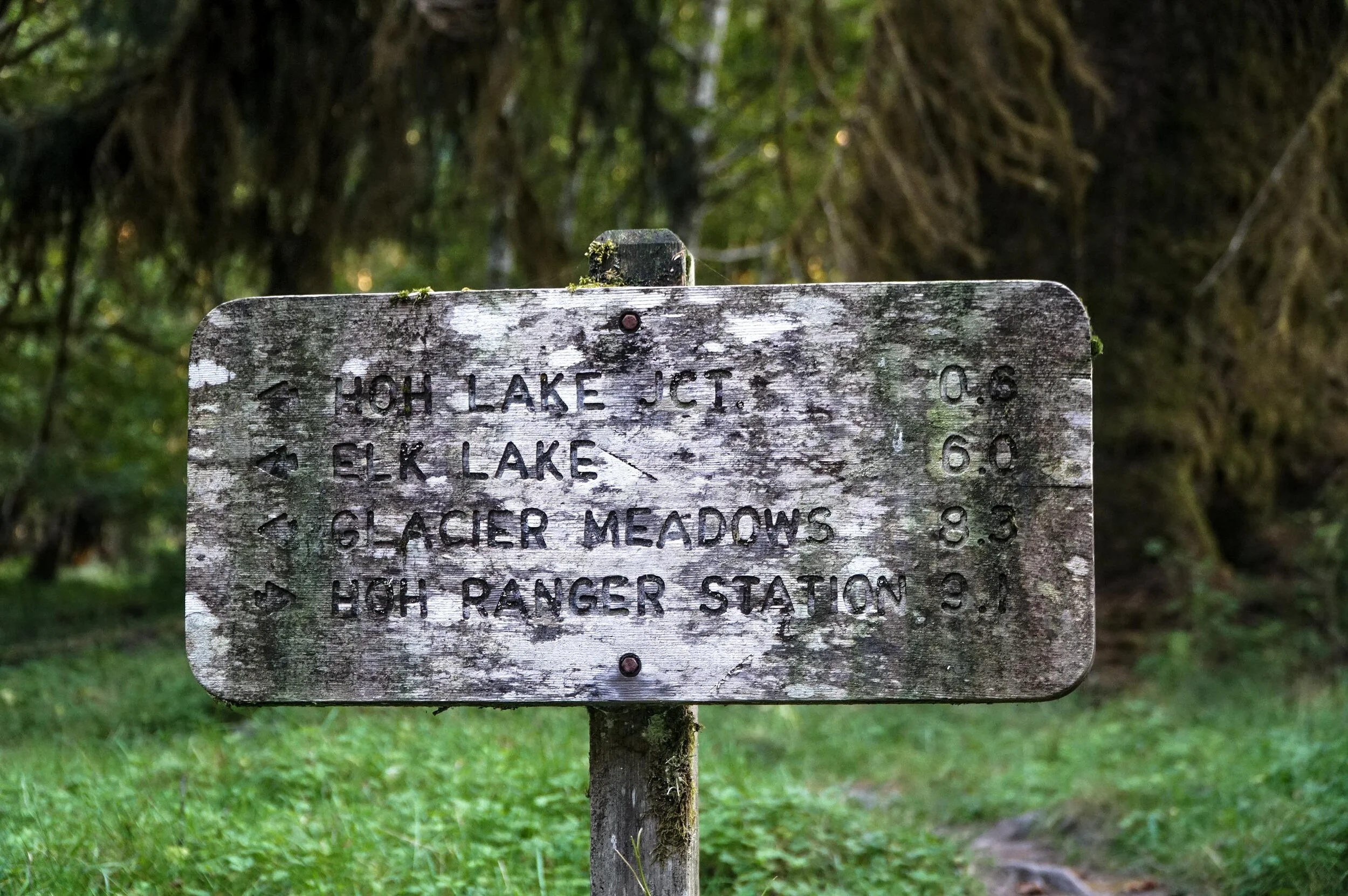 Hoh river trail hot sale olympic national park